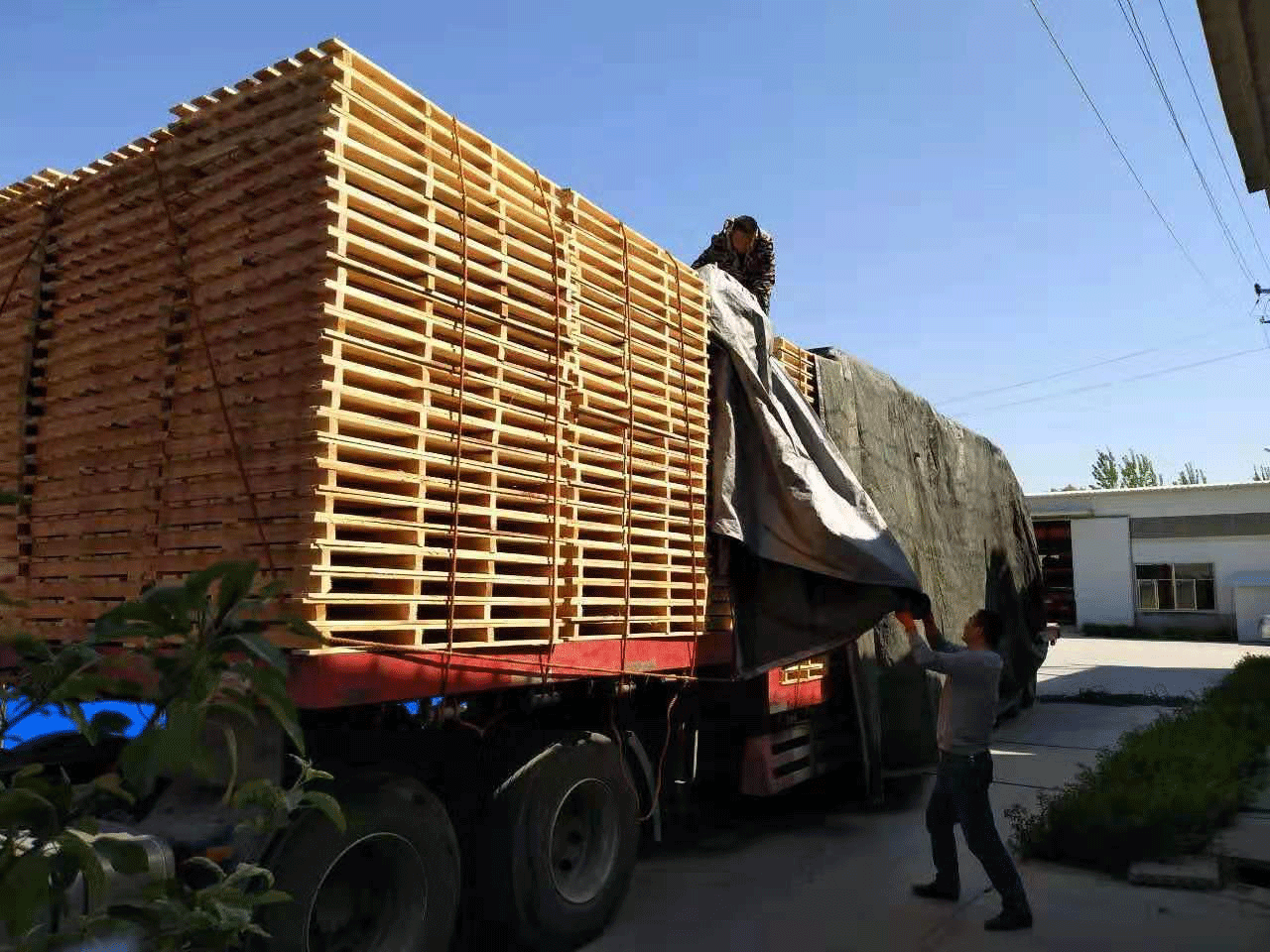 安徽阜陽某建材公司專屬設計木質托盤